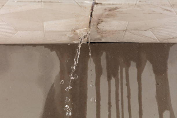 Professional Structural Drying technician working in Centerville, GA